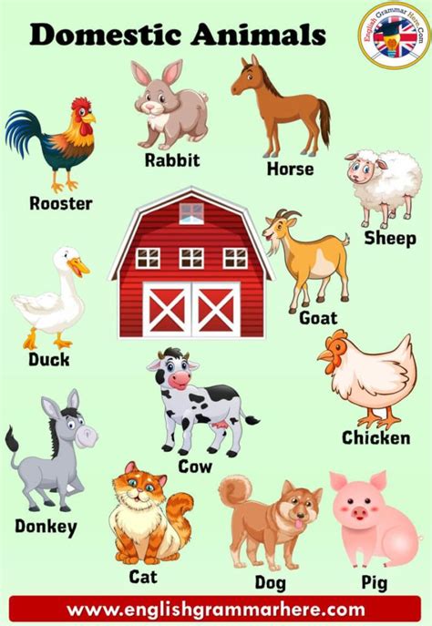 Domestic Animals Names, Definition and Examples - English Grammar Here | English activities for ...