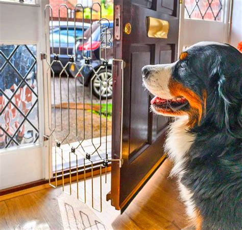 This Unique Front Door Dog Gate Prevents Your Pooch From Escaping When ...