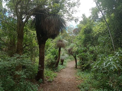 Visit Bunya Mountains - Highlife Magazine