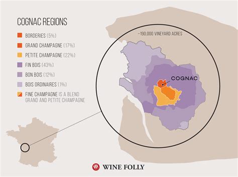 The Guide to Finding Great Cognac | Wine Folly