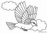 Flying Birds Coloring Page sketch template