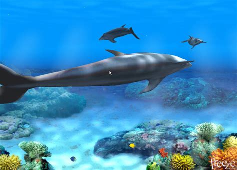 🔥 [50+] Free 3D Dolphin Screensavers Wallpapers | WallpaperSafari