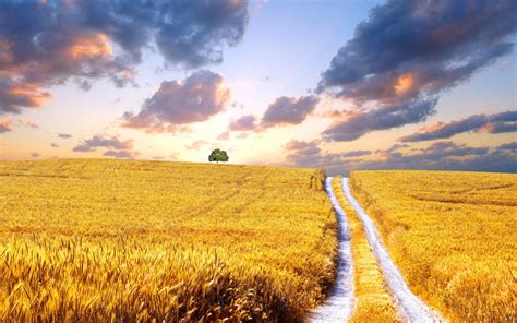 Ukraine Nature Wallpapers - Top Free Ukraine Nature Backgrounds - WallpaperAccess