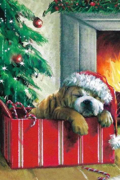 Pin by Deanna Hughes on CHRISTMAS DOGS | Christmas dog, Christmas cards ...