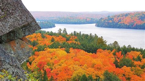 FALL COLOURS in Canada Algonquin Park Ontario Autumn Colors asmr 4K ...