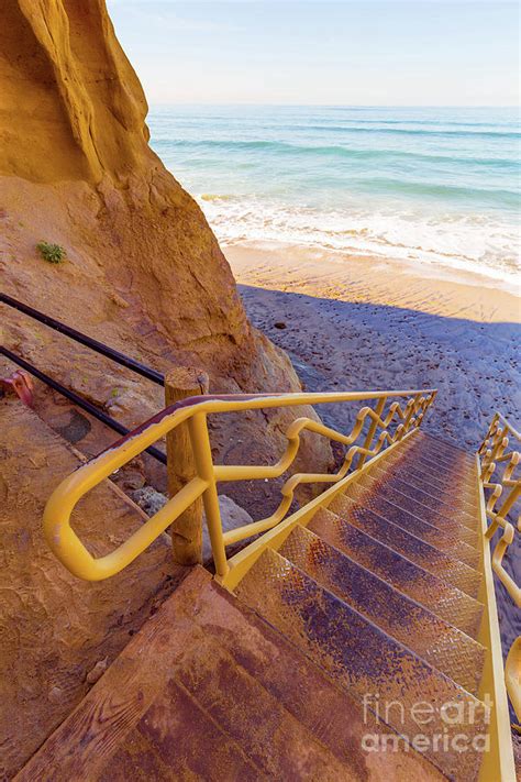 Beach Trail Torrey Pines State Park Photograph by Edward Fielding