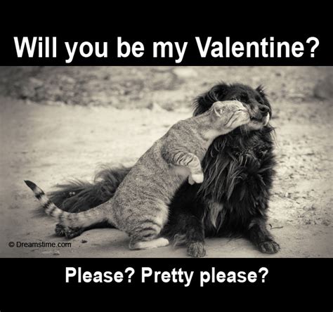 Would you be my Valentine? – Meme Quotes