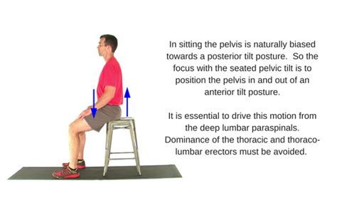 pelvic tilts_seated - My Rehab Connection