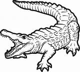 Printable Alligator Coloring Page For Kids 2 – SupplyMe sketch template