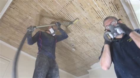 Best Way To Remove Plaster And Lath Ceiling | Americanwarmoms.org