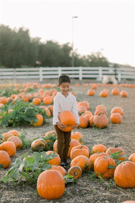 Pumpkin Patch Fun for Everyone — Hello Rascal Kids