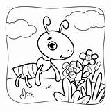 Ant Black And White Coloring Book Or Page For kids Nature  sketch template