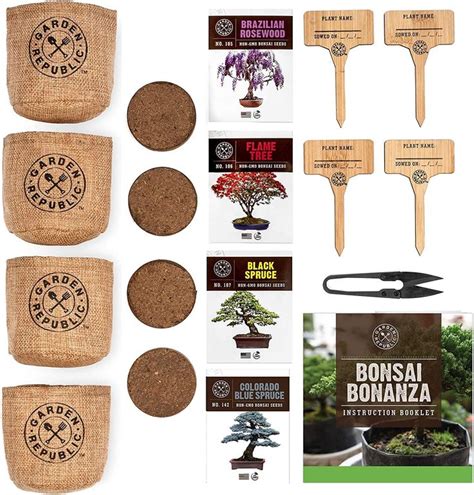 DIY Bonsai Tree Seed Starter Kit - Mini Bonsai Plant Growing Kit | Seed starter kit, Seed ...