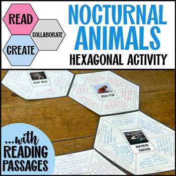 Nocturnal Animals Adaptations Project Reading Comprehension Passages or Sub