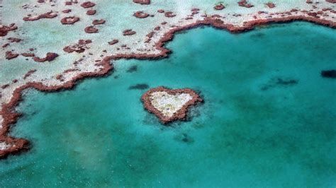 Heart Reef Australia, HD World, 4k Wallpapers, Images, Backgrounds, Photos and Pictures