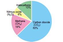 Co2 Concentrations Bioninja Greenhouse Gases Greenhouse Gas