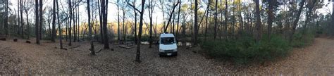 Tyler State Park Camping - Sprinter Camper