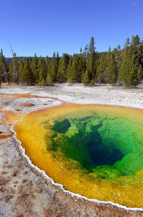 Explore the stunning Yellowstone National Park in Montana. | Montana ...