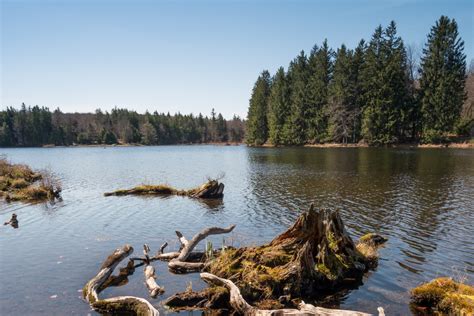 Promised Land State Park: Explore Eastern Pennsylvania's Outdoor Haven