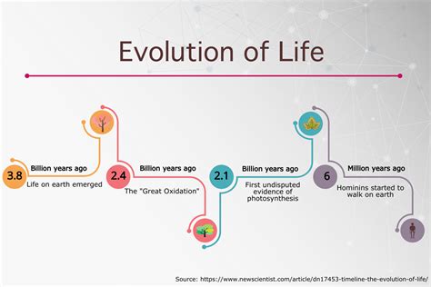 Evolution of life timeline infographic - Simple Infographic Maker Tool ...