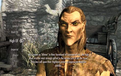 Best Skyrim Race for Mage Build - Fantasy Role-Playing Games