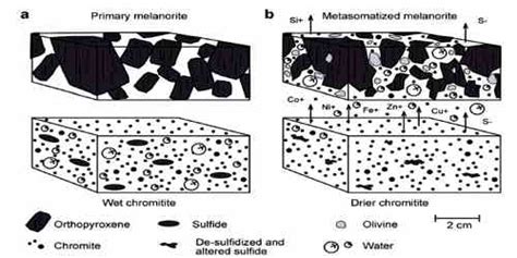 Metasomatism - Assignment Point