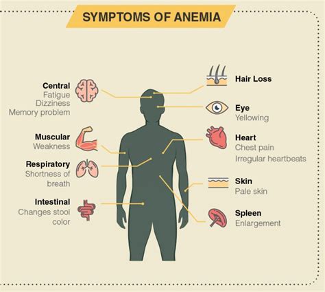 Overview of Anemia: Signs, Symptoms, Causes and Treatment