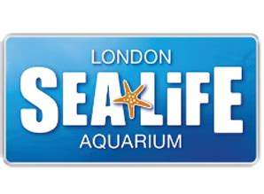 Sea Life London Aquarium: das Tiefsee-Abenteuer - London.de - London