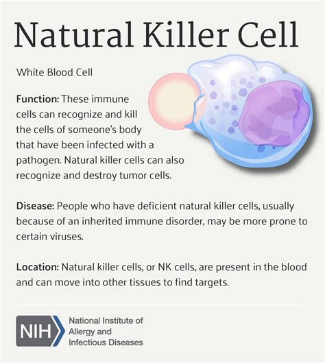 Natural Killer Cells - DR.T'S WEBSITE & WEBSTORE