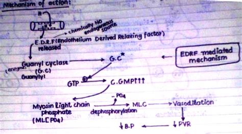 Hydralazine - Introduction - Mechanism Etc - Direct Vasodilators Pharmacology