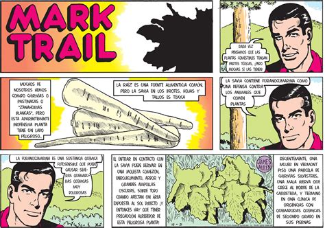 Comics Kingdom | Mark Trail by Jack Elrod