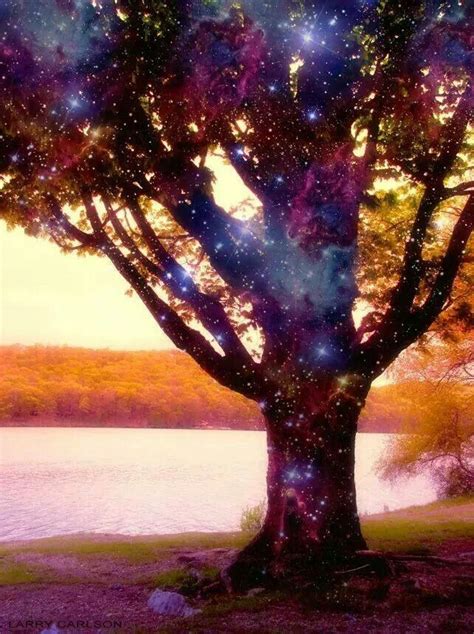 # milky way # dreams # stars # galaxy # cosmic tree | Cosmic tree, Art ...