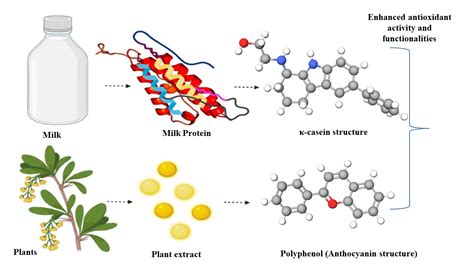 IJMS | Free Full-Text | A Comprehensive Review on the Interaction of Milk Protein Concentrates ...