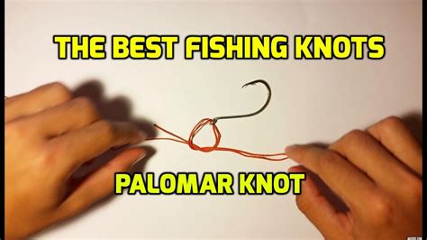 The Best Fishing Knots - Palomar Knot - Very Strong Knot - YouTube