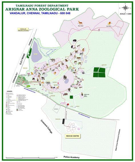 Zoo Map - Arignar Anna Zoological Park in 2020 | Zoo map, Zoo, Map