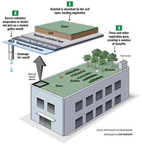 How a green roof works and the benefits of going green | News | nola.com