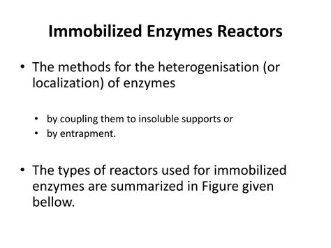 PPT - Immobilized Enzymes Reactors PowerPoint Presentation, free download - ID:1902580