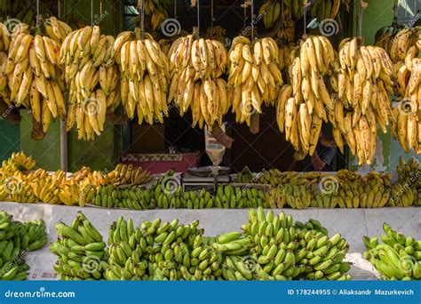 Variety of Bananas in Banana Shop in Kerala, India Stock Image - Image of fruit, india: 178244955