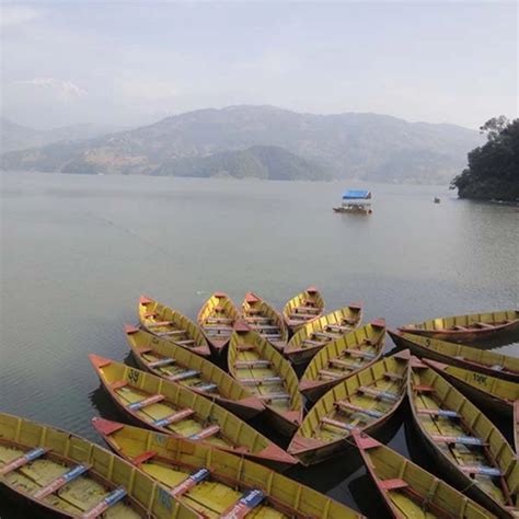 Kathmandu - Pokhara - Chitwan Tour | Out Shine Adventure