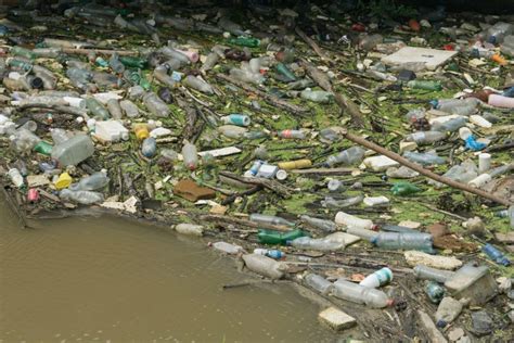 8 doenças causadas pela água contaminada - Escola Educação