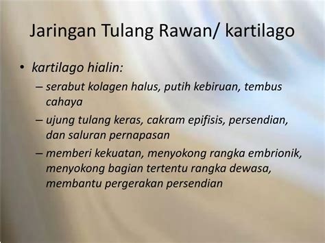 PPT - Jaringan Ikat PowerPoint Presentation, free download - ID:2118638