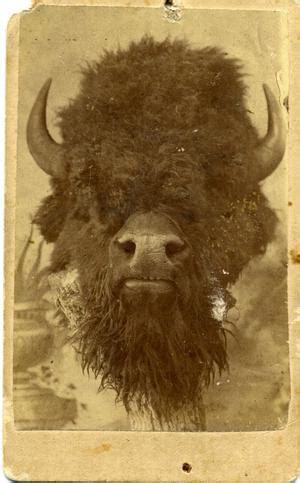 Buffalo Head - The Gateway to Oklahoma History