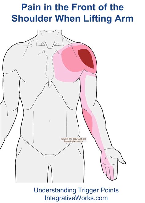 Front of shoulder pain when raising arm | Integrative Works