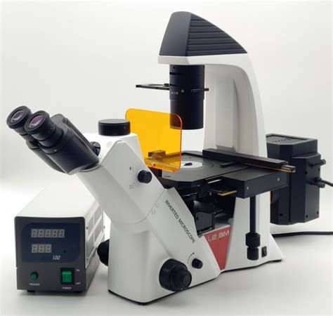 Fluorescence Microscope| LS40 | DeltaPix - Deltapix