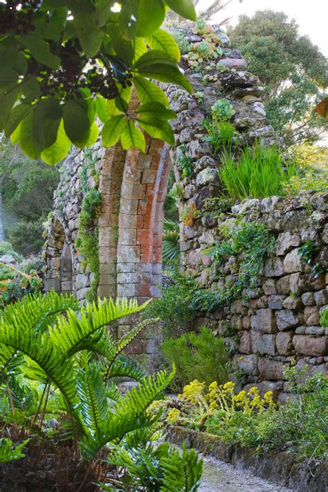 Tresco Abbey Garden - clivenichols.com