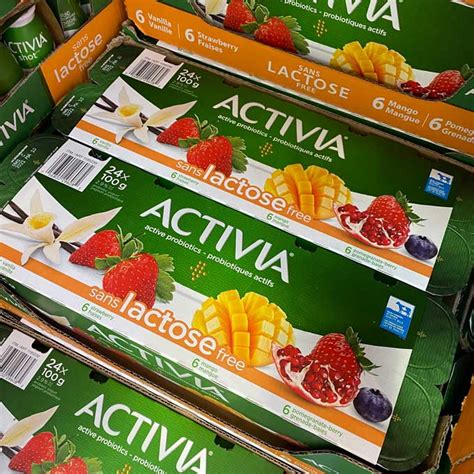 Activia Yogurt lactose free 24x100g - Shops at GOGO401