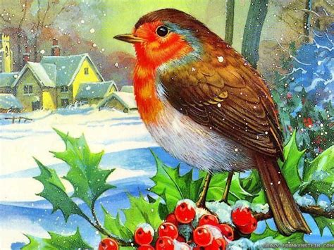 🔥 [50+] Free Christmas Bird Wallpapers | WallpaperSafari