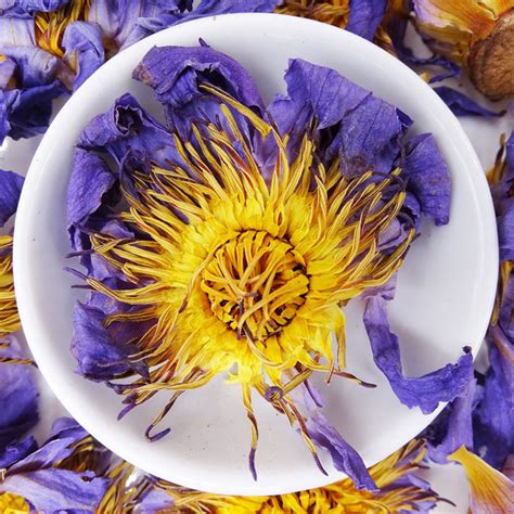 Buy Blue Lotus Flower Online | Tea Life Australia - Tea Life