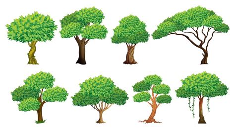 Tree set 414426 Vector Art at Vecteezy