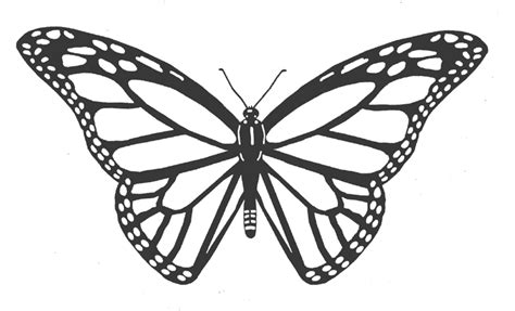 Free Monarch Butterfly Drawing, Download Free Monarch Butterfly Drawing png images, Free ...